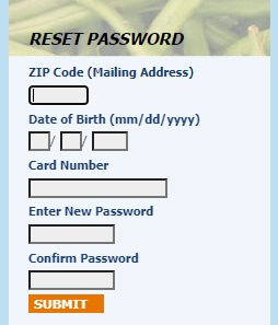Georgia EBT password reset page
